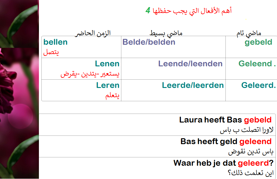 تعرف علي اهم الافعال التي يجب حفظها في اللغة الهولندية