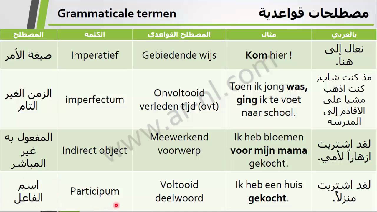 مصطلحات قواعدية و مفرادت هامة تعليم اللغة الهولندية