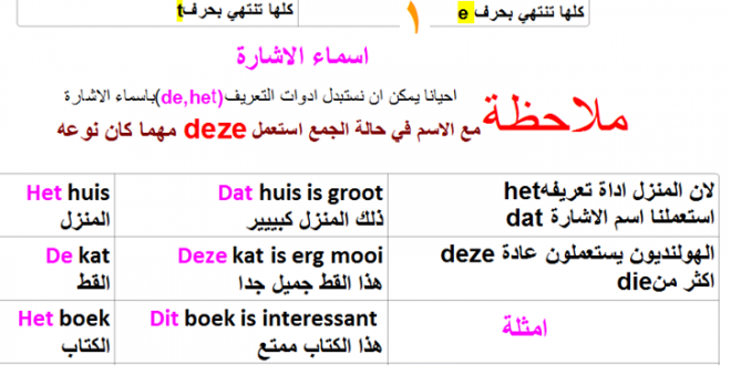 درس 28 : الدرس الثامن والعشرون من دورة تعليم اللغة الهولندية من الصفر
