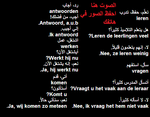 بالصوت : جمل هولندية جديدة