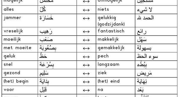 درسنا اليوم عبارة عن 40 كلمة وعكسها في اللغة الهولندية