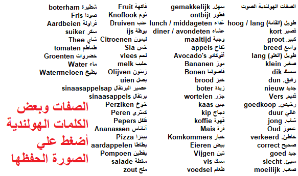 الـ 60 صفة الأكثر شيوعًا في تعليم اللغة الهولندية