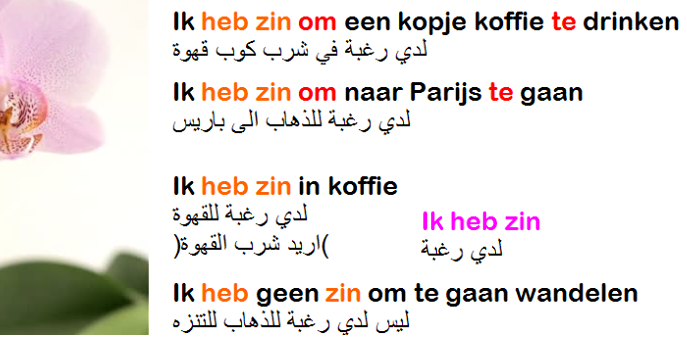 تعرف علي ik heb zinكثير ما نحتاجها في كل مكان مع مجموعة من الكلمات المهمة في اللغة الهولندية