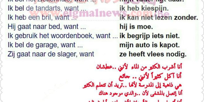 بعض الجمل مع استخدام Want في اللغة الهولندية