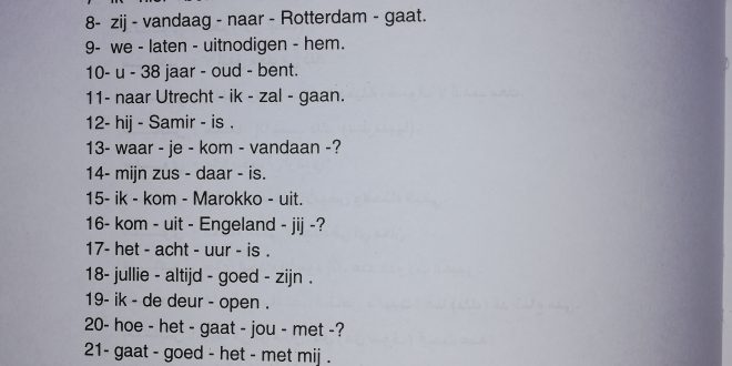 oefening een Maak zinnen Nederlands leren
