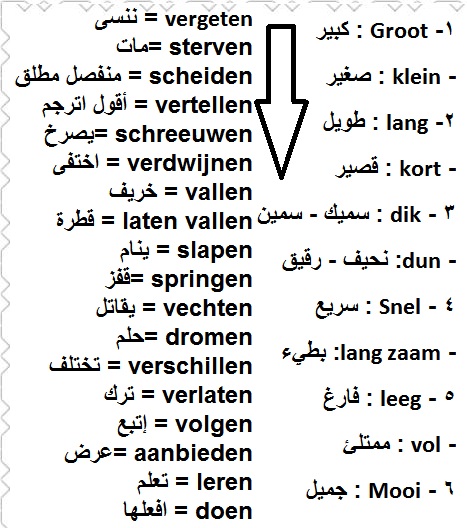 الجزء الاول من بعض الكلمات بتعلم اللغة الهولندية المتداولة