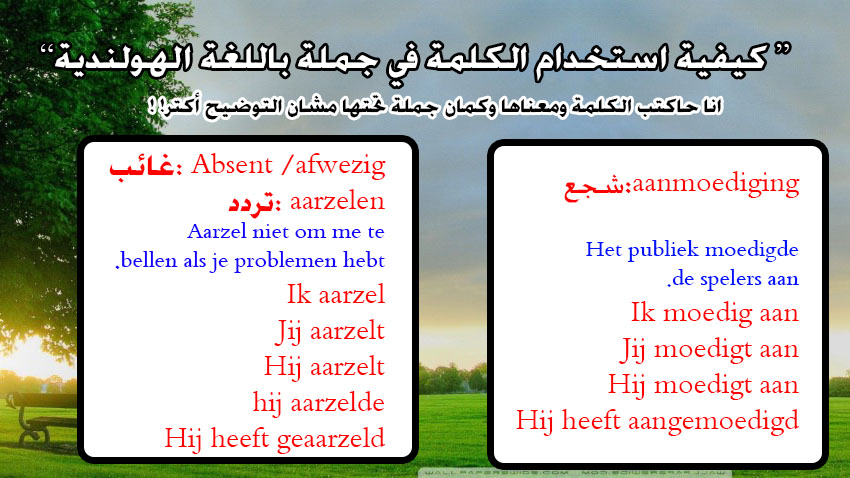 كيفية استخدام الكلمة في جملة باللغة الهولندية Nederlands leren