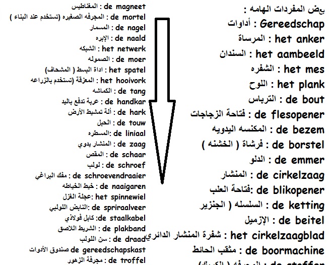 بعض المفردات المهمة باللغة الهولندية