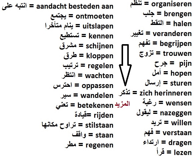 كلمات هولندية مهمة متنوعة قد تحتاجها في تعلم اللغة الهولندية