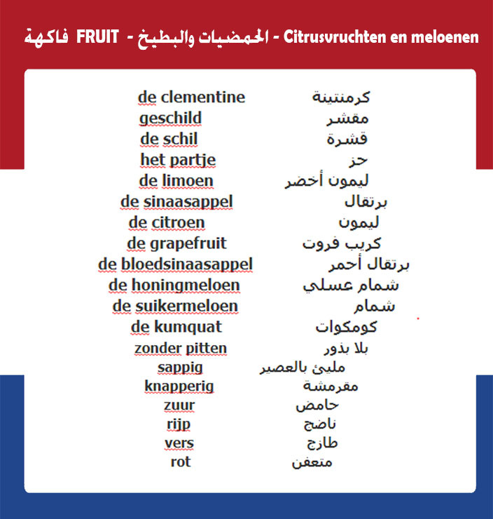 كلمات هولندية : تستخدم في الفواكهه " الحمضيات والبطيخ " تعلم اللغة الهولندية
