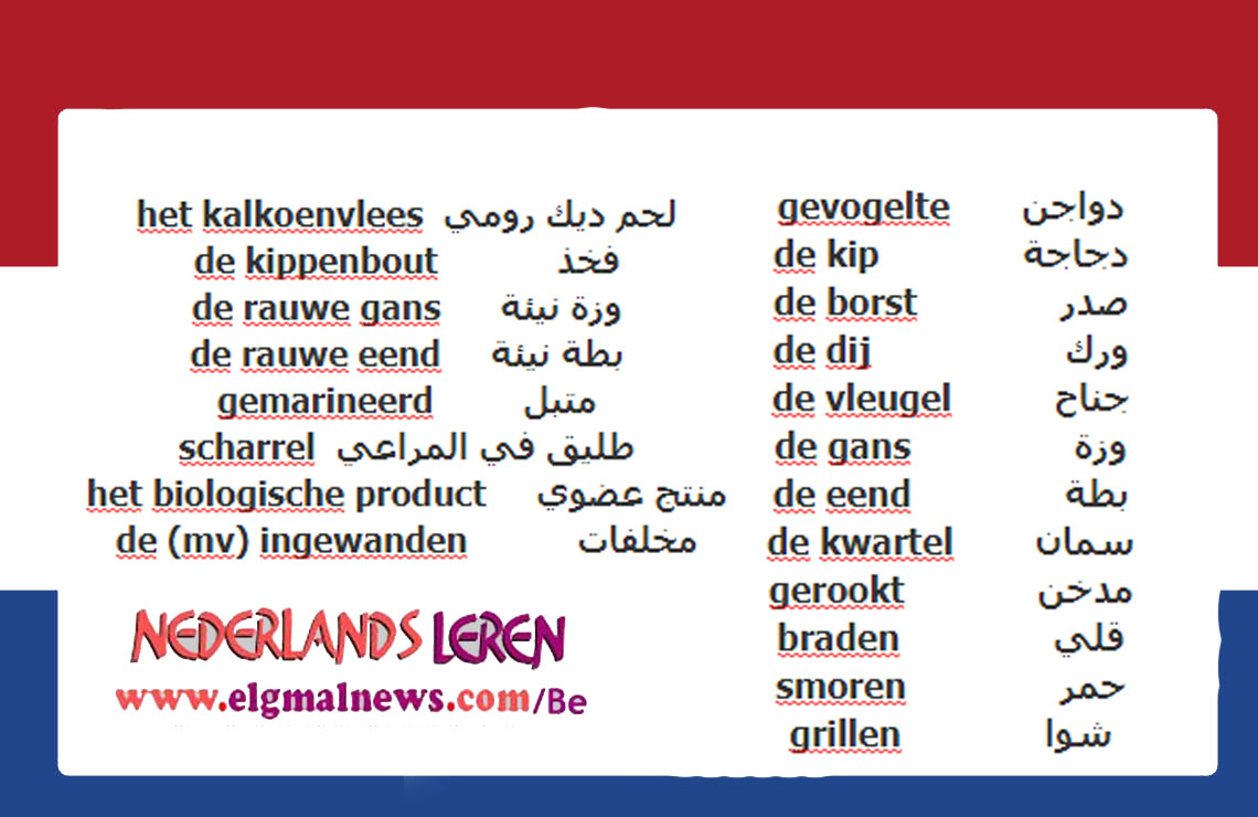 كلمات هولندية : تستخدم في التسوق – دواجن – تعلم اللغة الهولندية