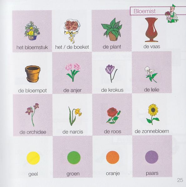 كلمات هولندية تستخدم عن بائع الزهور – تعليم اللغة الهولندية 2020