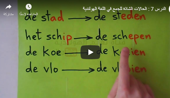 الدرس 7 : تعليم الحالات الشاذة للجمع في اللغة الهولندية بالصوت والفيديو