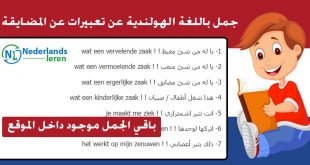 جمل باللغة الهولندية عن تعبيرات عن المضايقة